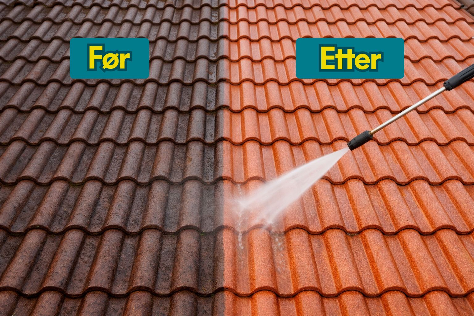 WhatsApp Image 2026 02 25 at 22.14.46